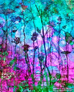Rich Tapestry (Cool), 2014, (digitaalinen sekamediafonografia)